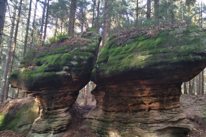 Skalne grzyby - TaxiKudowa.pl